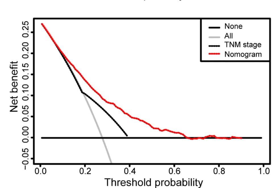 Open access visualization of Line Plot, Nomograms, TNM System, Net Benefit, Testing Set