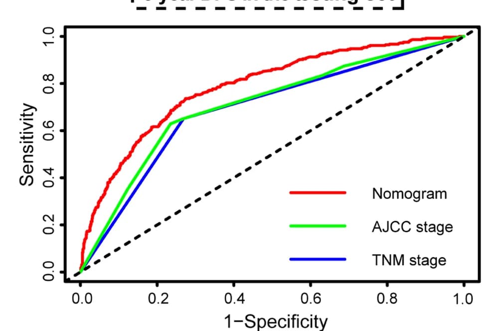 Open access visualization of Line Plot, Nomograms, TNM System, AJCC System, Disease-Free Survival