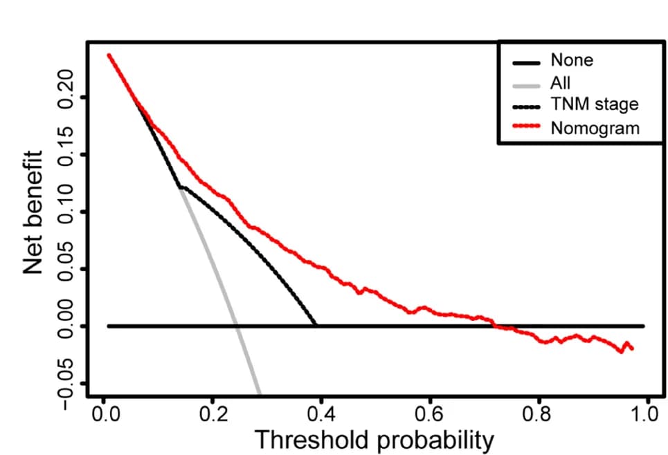 Open access visualization of Line Plot, Nomograms, TNM System, Disease-Free Survival, Net Benefits