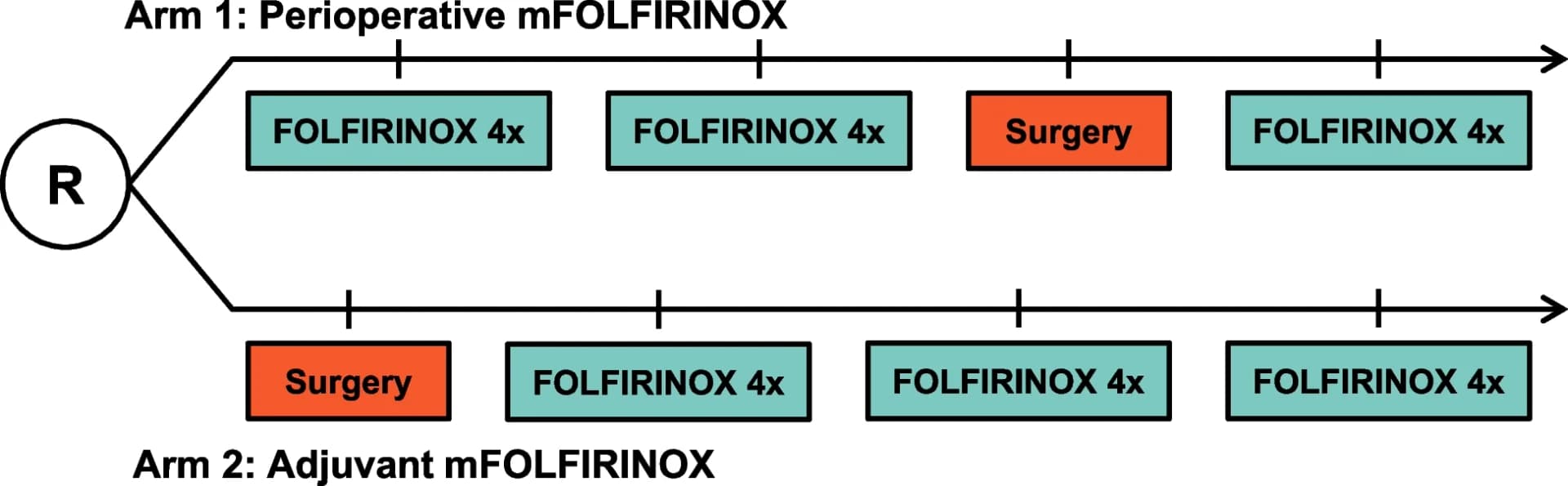 Open access visualization of Workflow, Flowchart, In Vivo, Experimental Design, Treatment Schedule