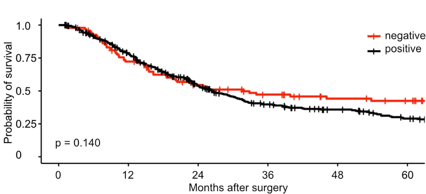 Open access visualization of Survival Curve, Overall Survival, NANOG Expression, Neoadjuvant Therapy, Subgroup Analysis