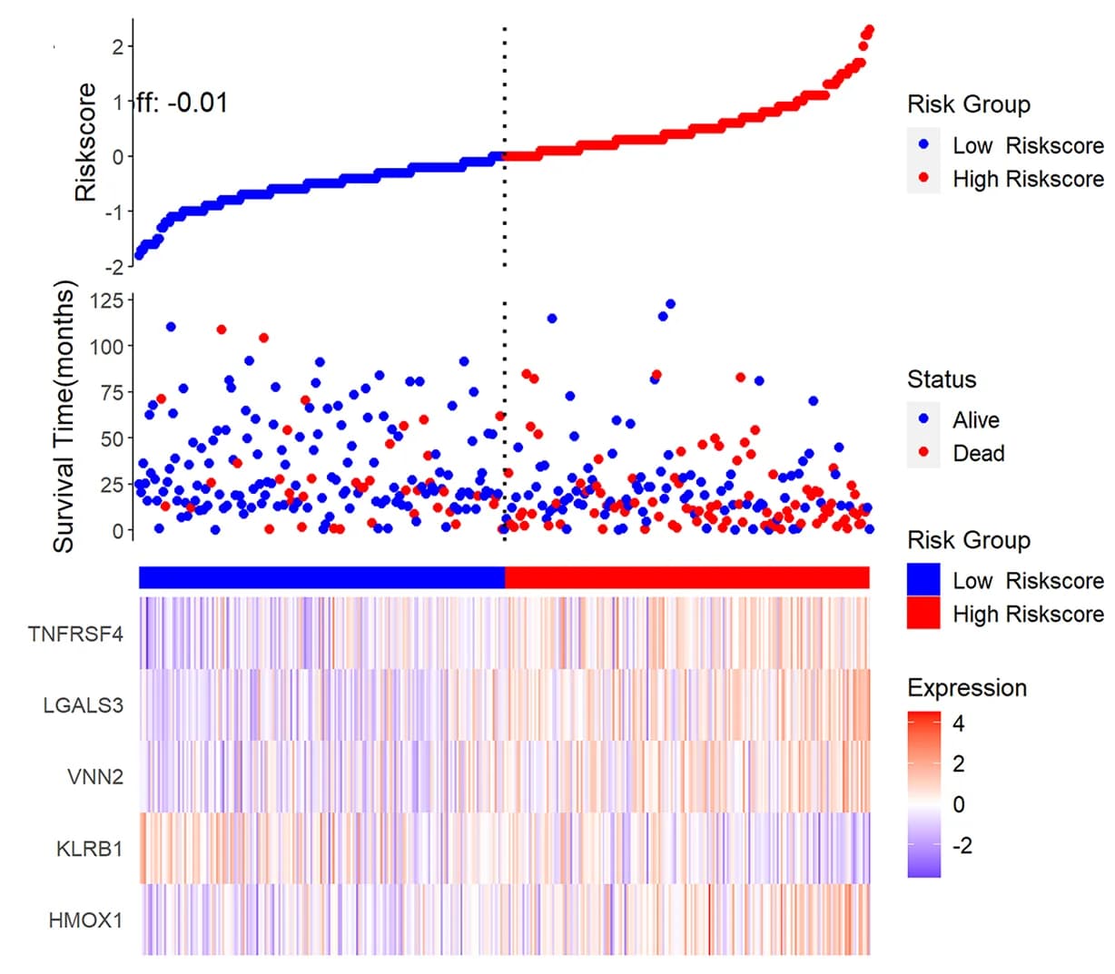 Open access visualization of Scatter Plot, Heatmap, Risk Scores, OS Status, Gene Expression Profiles