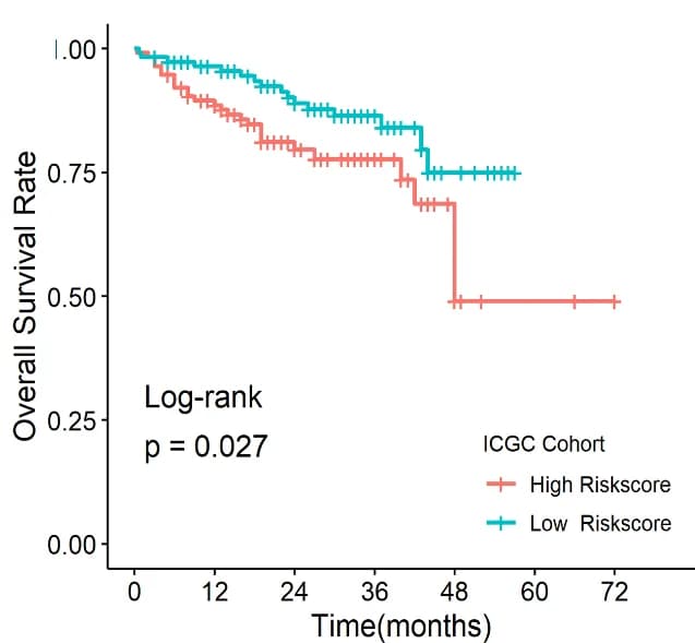 Open access visualization of Survival Curve, Survival Analysis, Risk Score