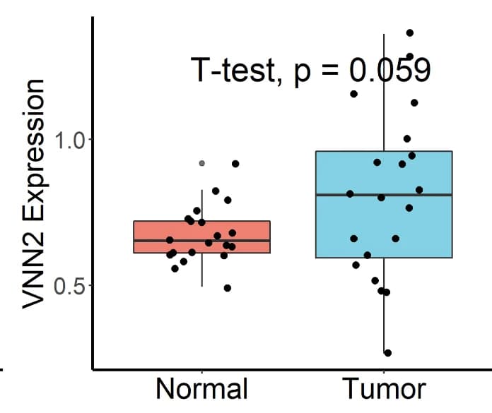 Open access visualization of Box Plot, Scatter Plot, qRT-PCR, IHC assay, Gene expression