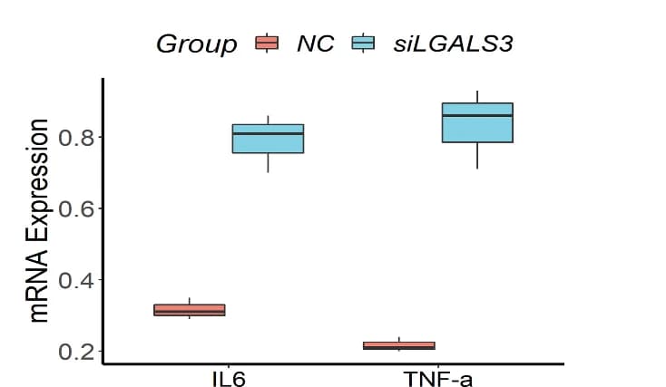 Open access visualization of Box Plot, MLKL, RIPK1, RIPK3, IL6
