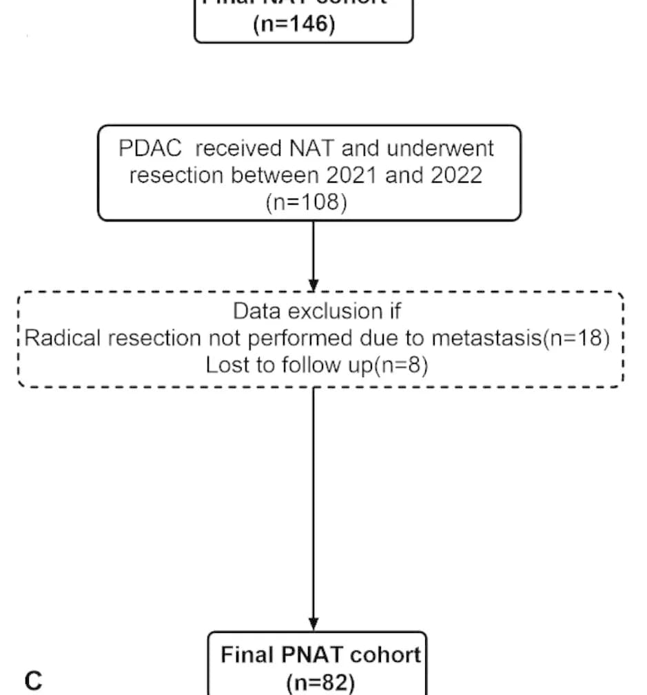 Open access visualization of Workflow, Flowchart, Patient Selection, Study Cohort, Validation Cohort