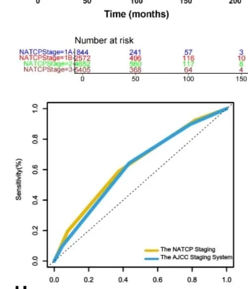 Open access visualization of Line Plot, Survival Curve, Kaplan-Meier Curves, Overall Survival, SEER Cohort