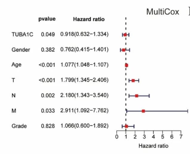 Open access visualization of Forest Plot, TUBA1C Expression, Overall Survival, Clinicopathological Characteristics, GSE13507 Cohort
