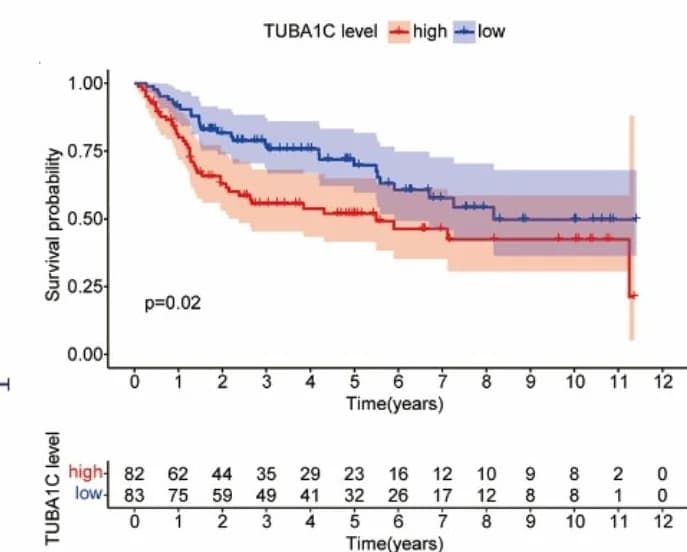 Open access visualization of Survival Curve, Error Bars, Line Plot, KaplanMeier Survival Curve, Overall Survival