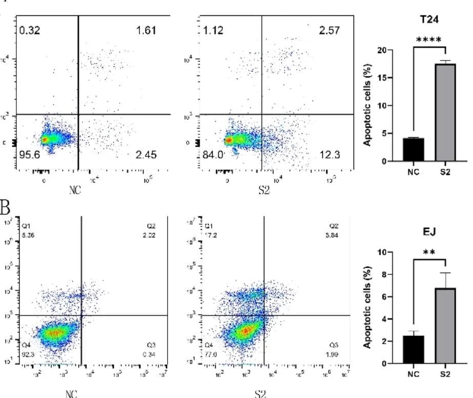 Open access visualization of Scatter Plot, Bar Plot, Error Bars, Flow Cytometry, Apoptosis Assay