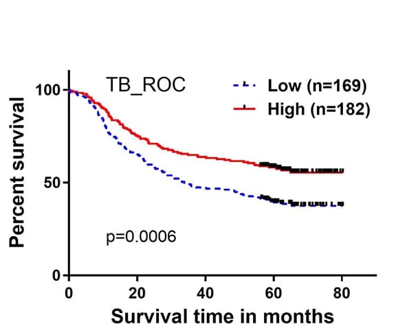 Open access visualization of Survival Curve, Kaplan-Meier Curve, Unconjugated Bilirubin, Conjugated Bilirubin, Total Bilirubin