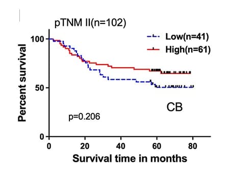 Open access visualization of Survival Curve, UC, Risk Stratification, pTNM Stages