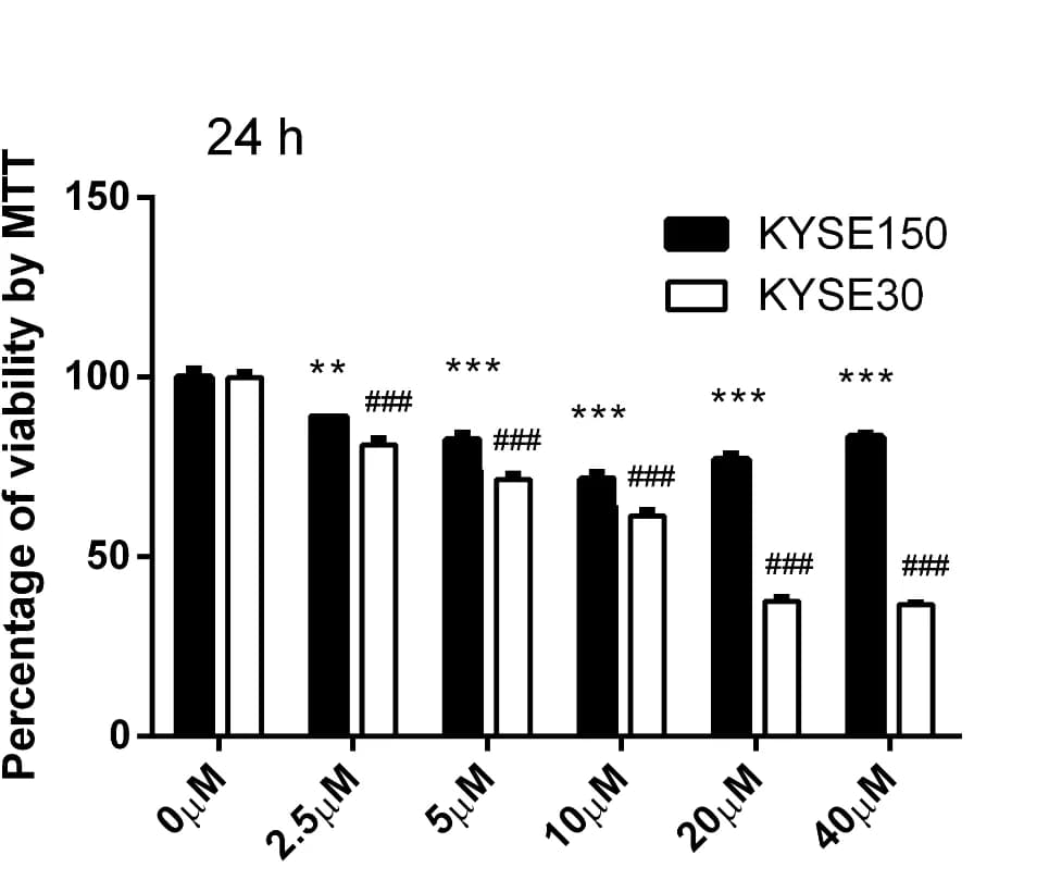 Open access visualization of Bar Plot, Clustered, Cell Viability, MTT Assay, ESCC Cell Lines