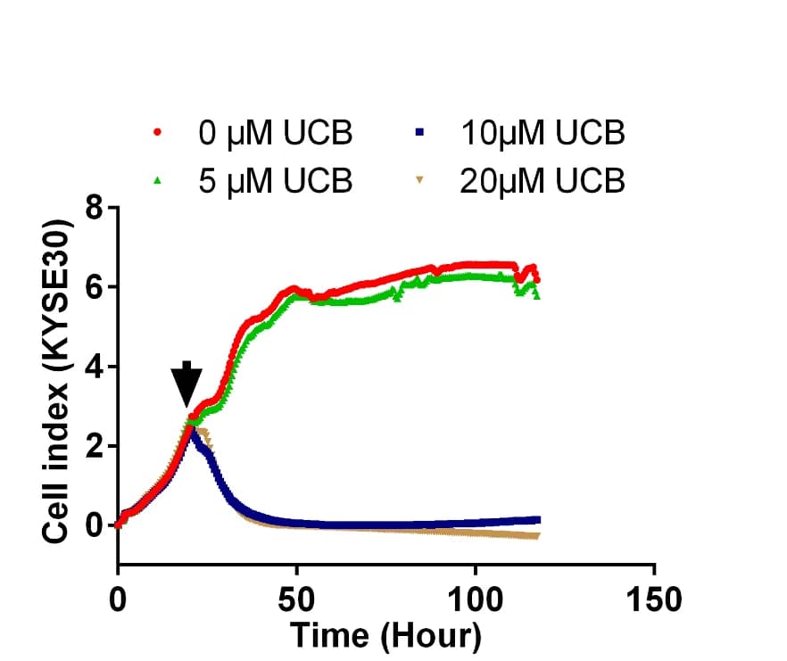 Open access visualization of Line Plot, Cell Index, Time Curves, KYSE30 Cells, UCB Treatment