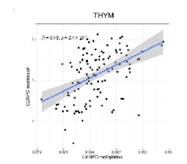 Open access visualization of Scatter Plot, Regression Plot, CENPO, Methylation, Pan-Cancer