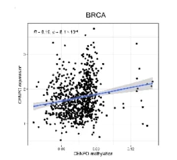 Open access visualization of Scatter Plot, Regression Plot, CENPO, Methylation, Pan-Cancer