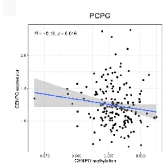 Open access visualization of Scatter Plot, Regression Plot, CENPO, Methylation, Gene Expression