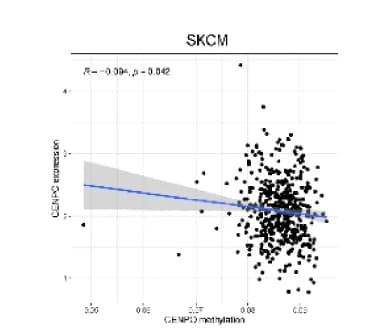 Open access visualization of Scatter Plot, Regression Plot, CENPO, Methylation, Gene Expression