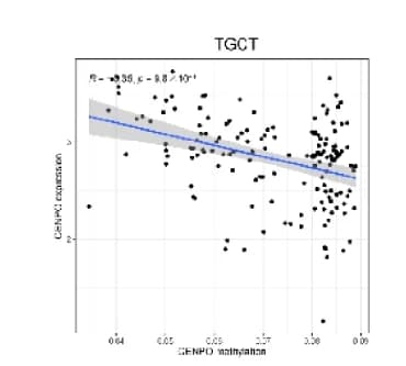 Open access visualization of Scatter Plot, Regression Plot, CENPO, Methylation, Gene Expression