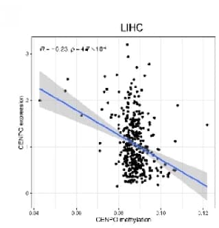 Open access visualization of Scatter Plot, Regression Plot, CENPO, Methylation, Gene Expression