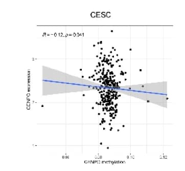 Open access visualization of Scatter Plot, Regression Plot, CENPO, Methylation, Gene Expression