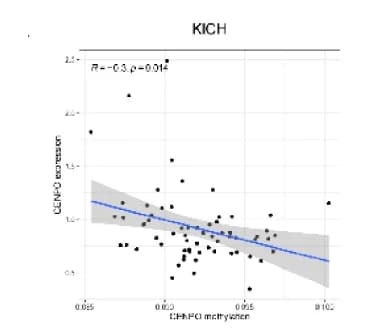 Open access visualization of Scatter Plot, Regression Plot, CENPO, Methylation, Gene Expression