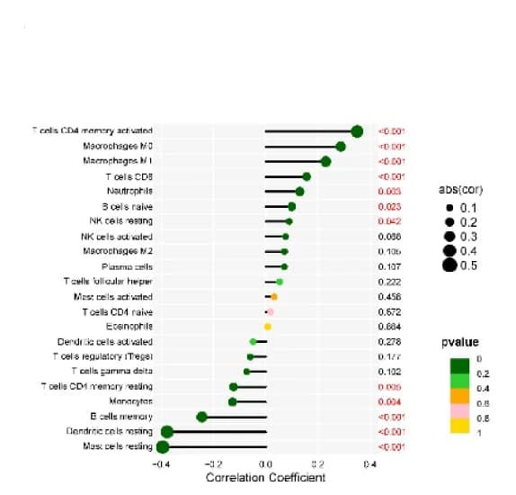 Open access visualization of Scatter Plot, Forest Plot, Correlation, CENPO, Immune Cell Infiltration
