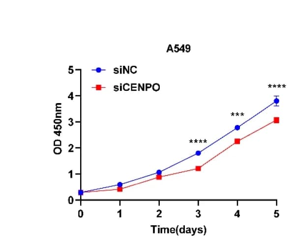 Open access visualization of Line Plot, Error Bars, CCK-8 Assay, Proliferation, A549 Cells