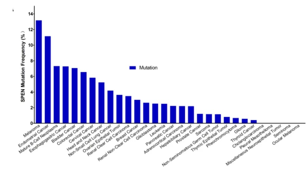 Open access visualization of Bar Plot, SETD2 mutations, CAN, Cancers