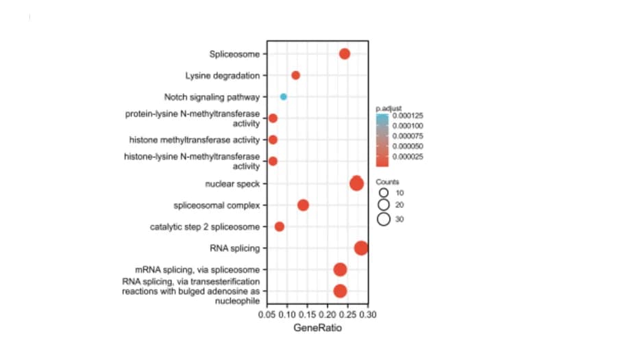 Open access visualization of Scatter Plot, Bubble Plot, Volcano Plot, KEGG Pathway, SPEN-binding Genes