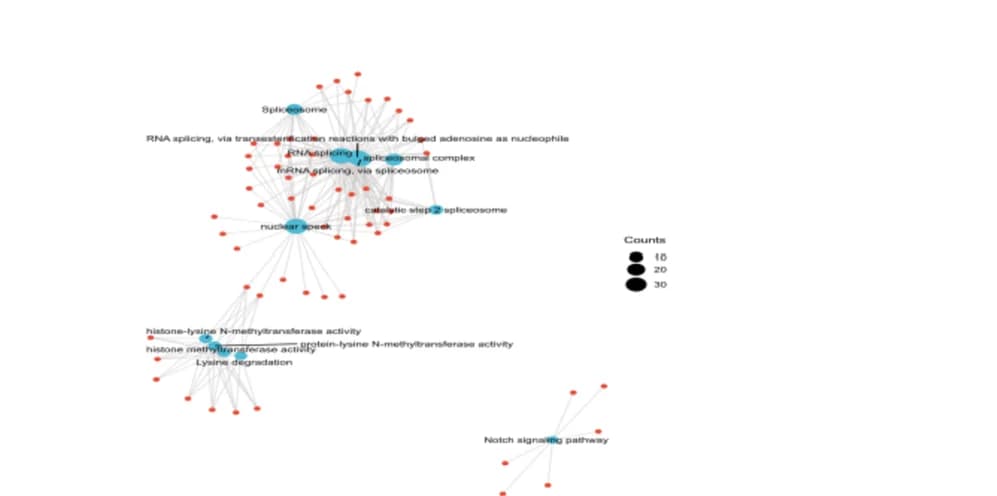 Open access visualization of Network, GO Analysis, SPEN-binding Genes, Interacted Genes