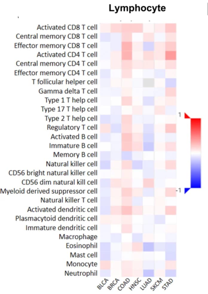 Open access visualization of Heatmap, Lymphocyte, SPEN mutant patients, SPEN nonmutant patients