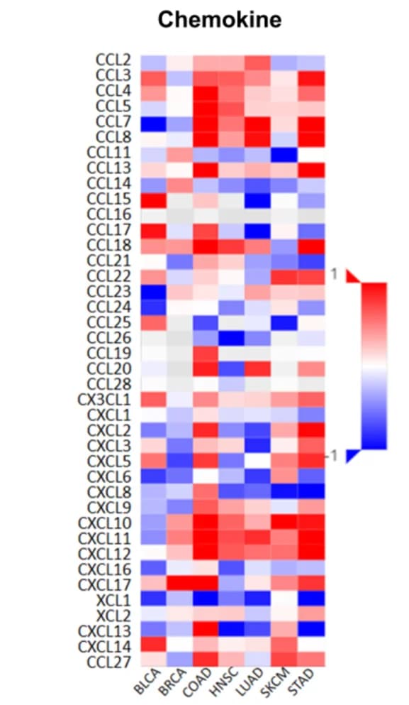 Open access visualization of Heatmap, Gene Expression, SPEN mutant patients, SPEN nonmutant patients, Chemokine