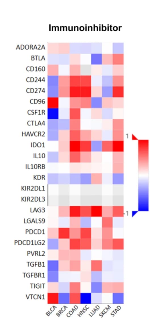 Open access visualization of Heatmap, Gene Expression, SPEN mutant patients, SPEN nonmutant patients, Immunoinhibitors
