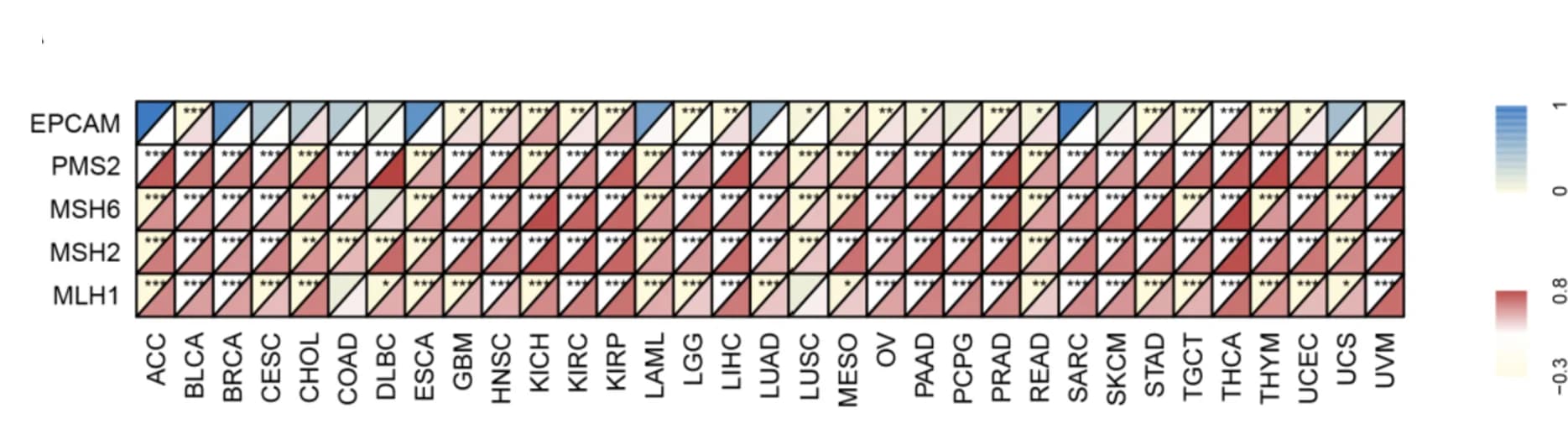 Open access visualization of Heatmap, SPEN, MMR Genes, Spearman’s Correlation, Gene Expression