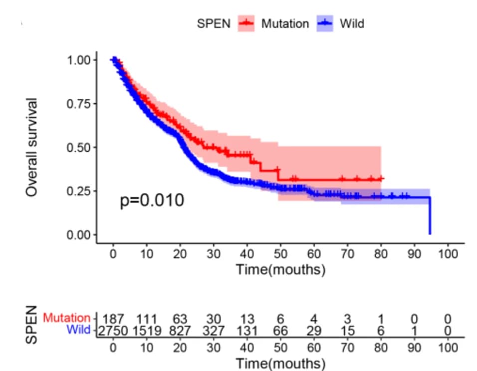 Open access visualization of Survival Curve, Error Bars, Kaplan-Meier Survival Analysis, SPEN Mutation, Cancer Patients