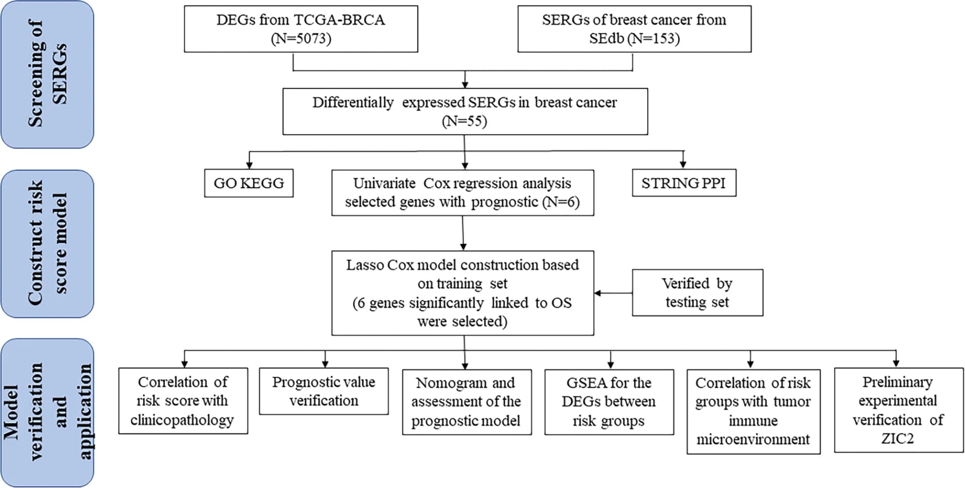 Open access visualization of Workflow, Flowchart, Flow Diagram, Study Design
