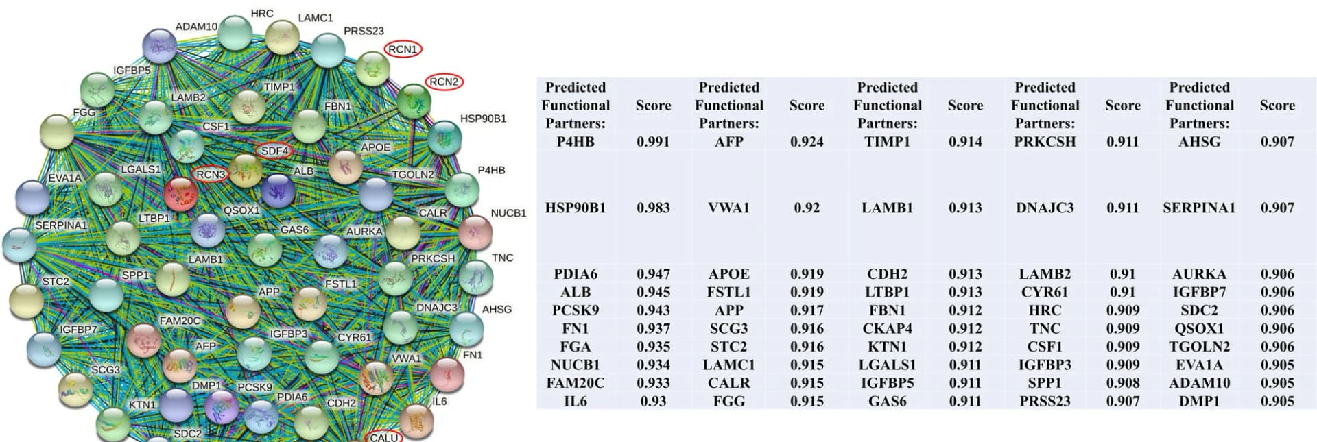Open access visualization of Network, Table Image, CREC Family, Co-expression Genes