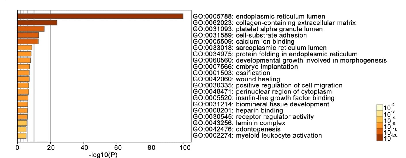Open access visualization of Bar Plot, Gene Ontology, KEGG, CREC Family, Co-expression Genes