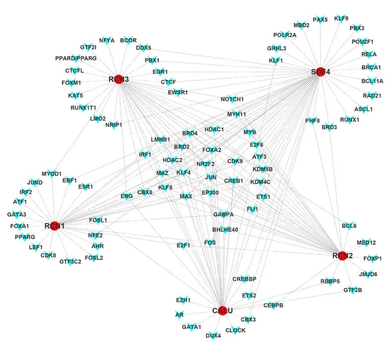 Open access visualization of Network, Pathway, Transcription Factors-target, microRNAs-target, CREC family