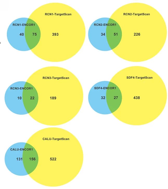 Open access visualization of Venn Diagram, microRNAs-target, hTFtarget