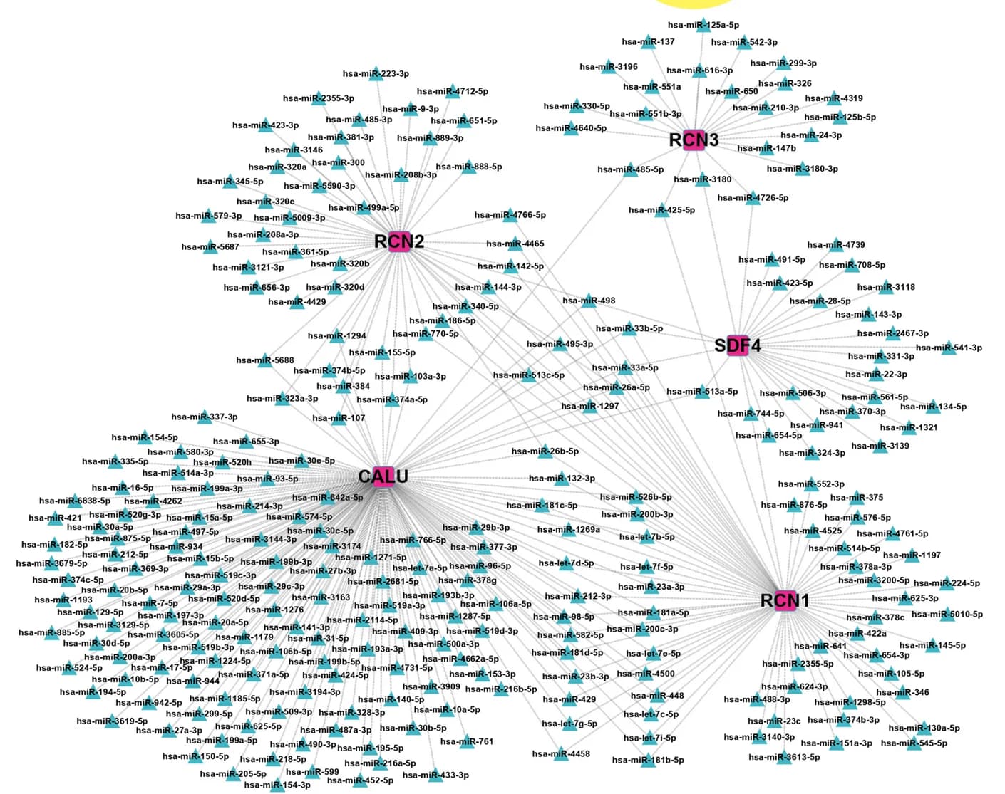 Open access visualization of Network, Pathway, microRNAs-target, Starbase, Targetscan