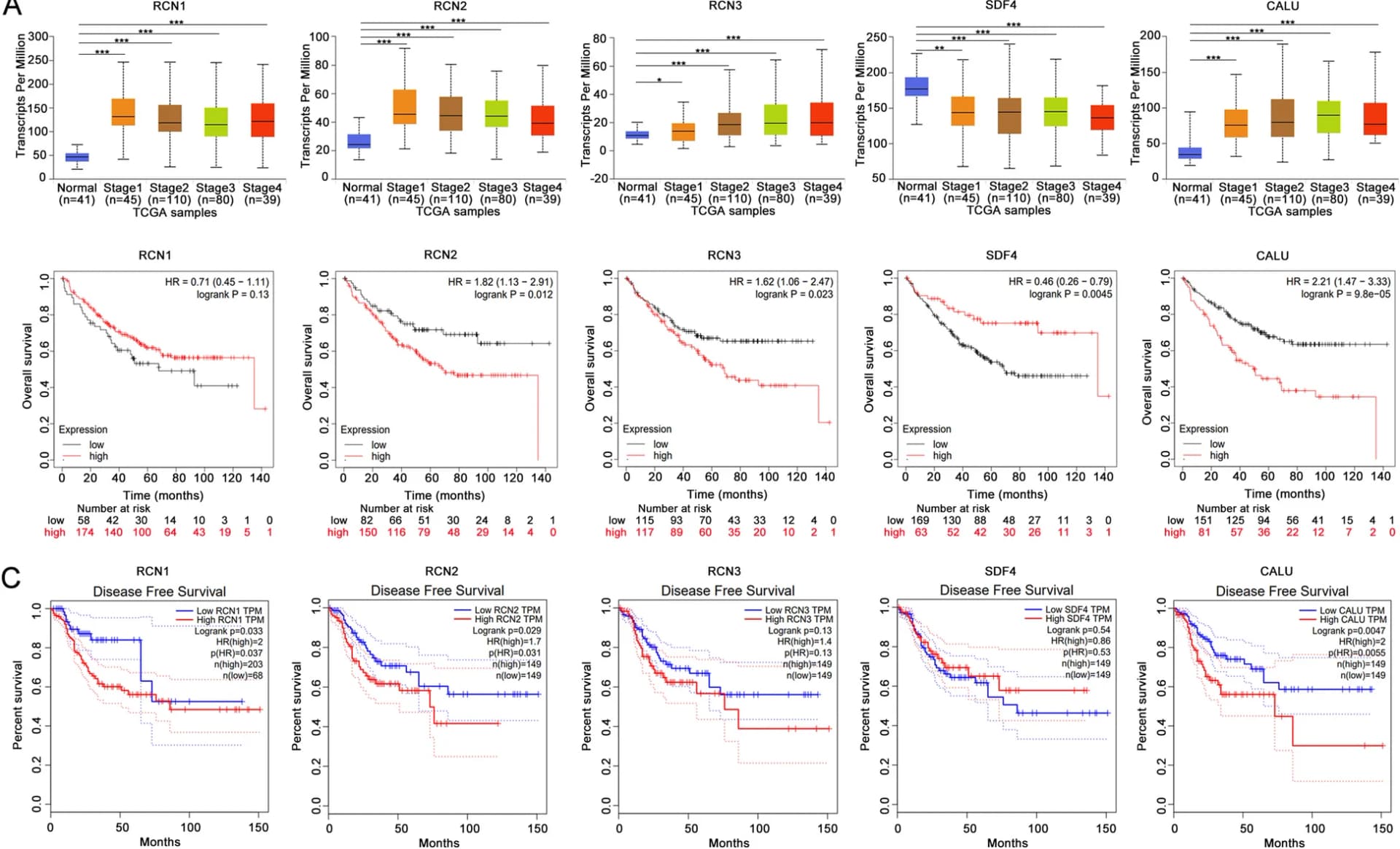 Open access visualization of Box Plot, Survival Curve, Line Plot, Prognostic value, mRNA levels