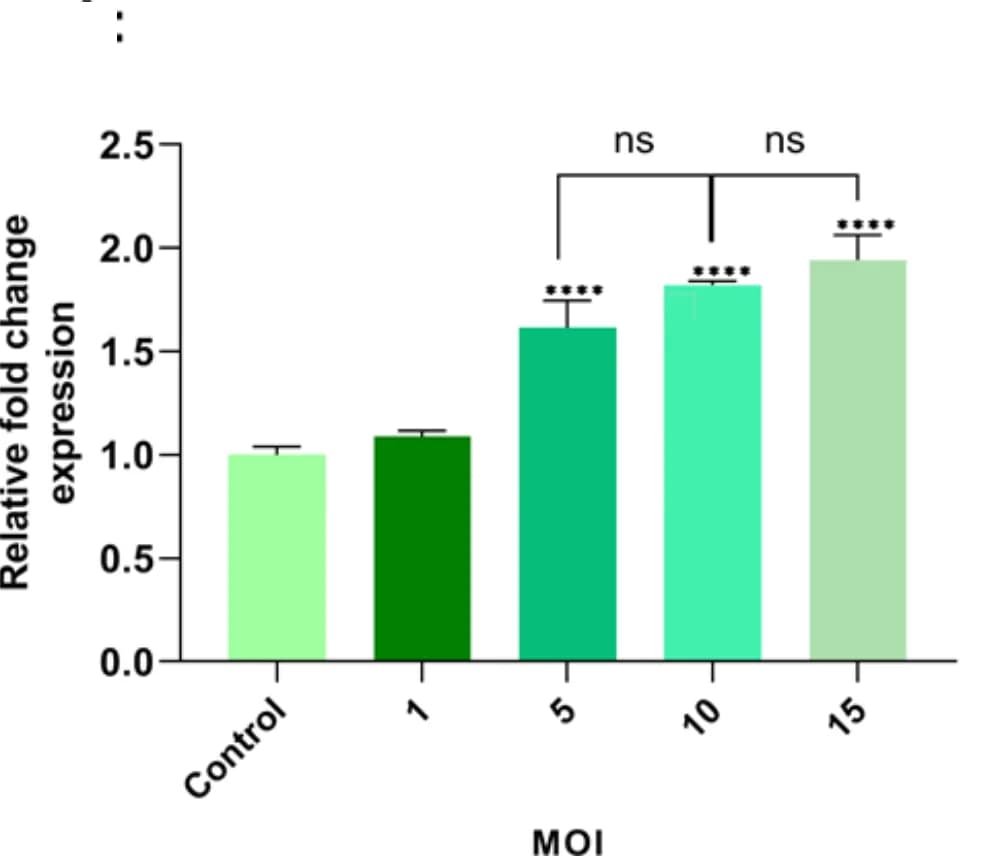Open access visualization of Bar Plot, Error Bars, Bax gene expression, TC-1 tumor cells, RSV-A2 infection