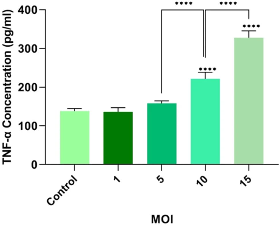 Open access visualization of Bar Plot, Error Bars, TNF-alpha, RSV-A2, TC-1 Cells