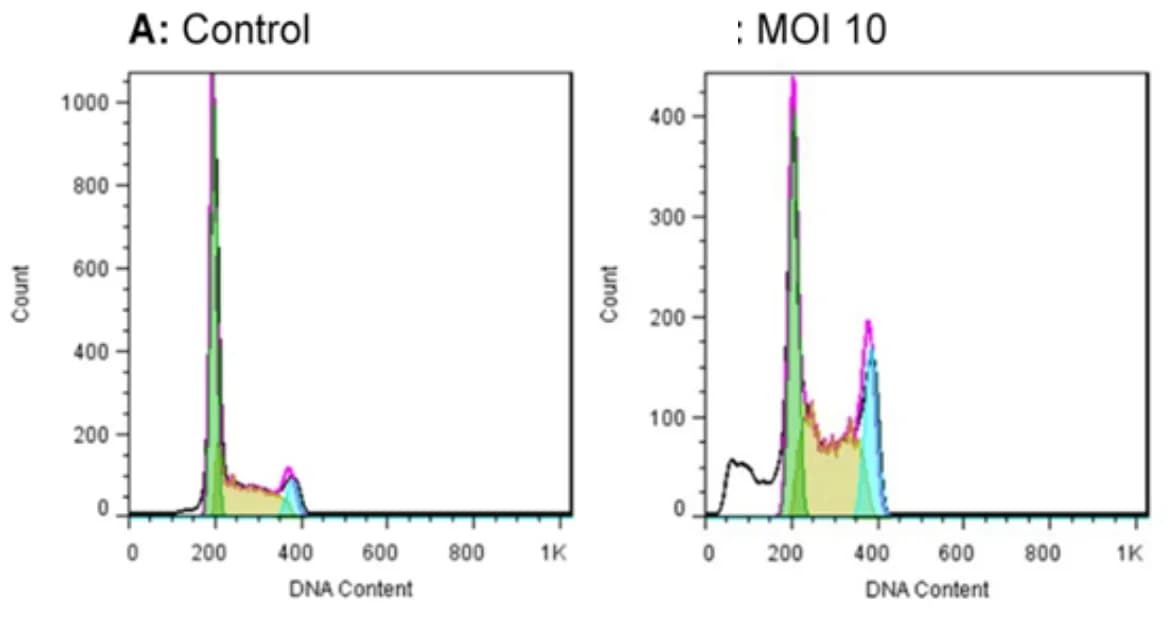 Open access visualization of Line Plot, Density Plot, TC-1 Cell Lines, Cell Cycle, Apoptosis
