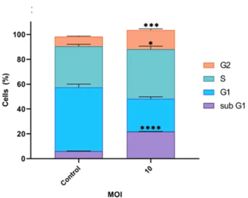 Open access visualization of Stacked Bar Plot, Error Bars, TC-1 Cell Distributions, Propidium Iodide, Statistical Significance