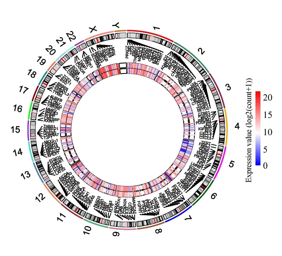 Open access visualization of Heatmap, EMT-Related Genes, Differentially Expressed Genes, Cancer Tissues, Normal Tissues