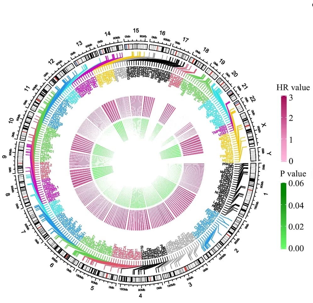 Open access visualization of Chord, Pathway, EMT-Related Genes, EC Survival
