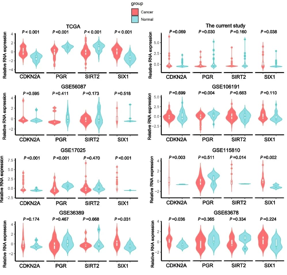 Open access visualization of Violin Plot, EMT-related genes, TCGA dataset, GEO datasets, Gene expression